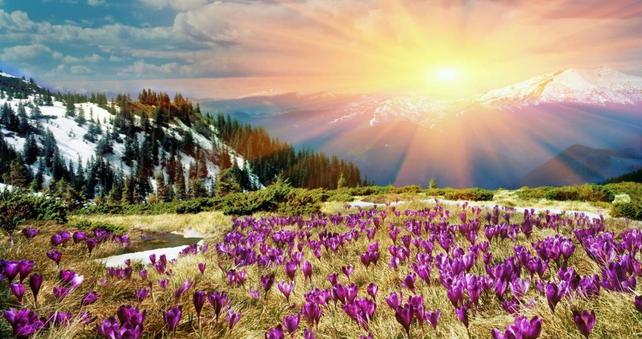 Mountainside Cozy Walk To Gondola Hot Tub Condo Steamboat Springs Exterior photo