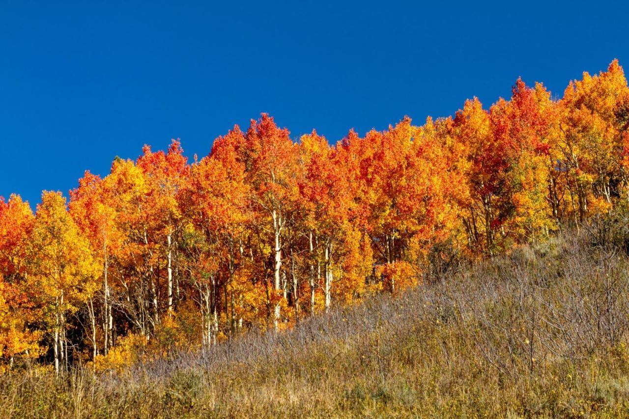 Mountainside Cozy Walk To Gondola Hot Tub Condo Steamboat Springs Exterior photo