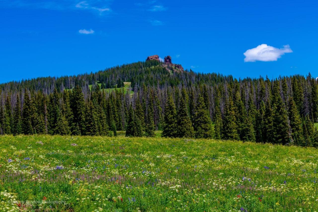 Mountainside Cozy Walk To Gondola Hot Tub Condo Steamboat Springs Exterior photo