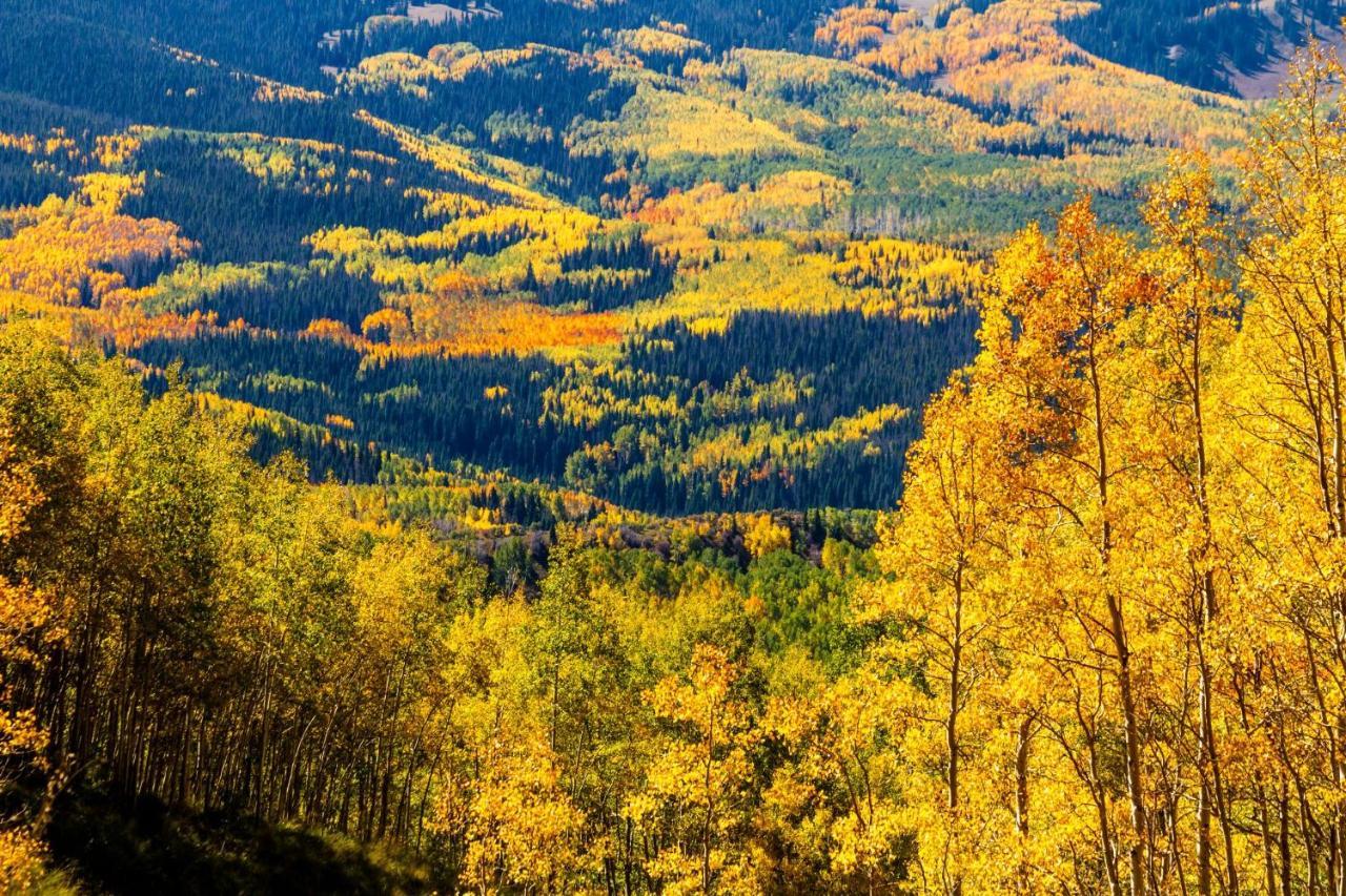 Mountainside Cozy Walk To Gondola Hot Tub Condo Steamboat Springs Exterior photo